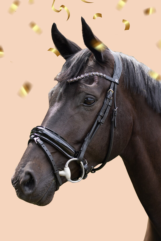 Bridons et rênes